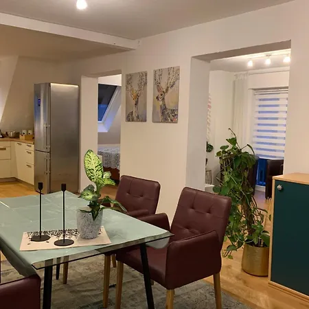 Apartman Naehe Clemenshospital Brillux Preussenstadion Skaters Palace *