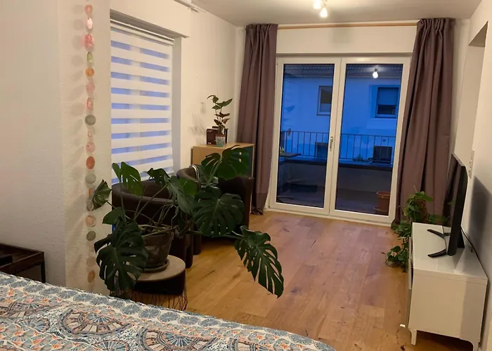 Naehe Clemenshospital Lejlighed Münster